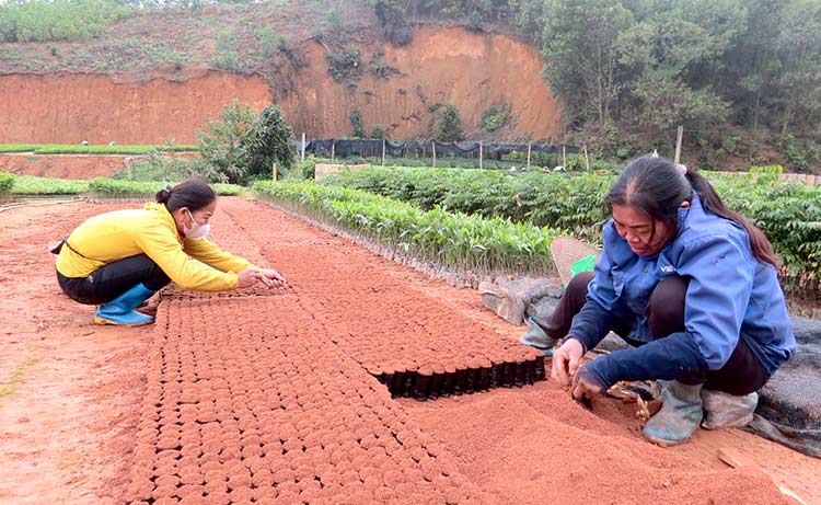 Trạm Thản giải quyết việc làm, nâng cao thu nhập cho lao động nông thôn